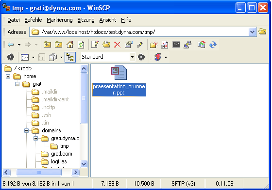 winscp-brunner.gif